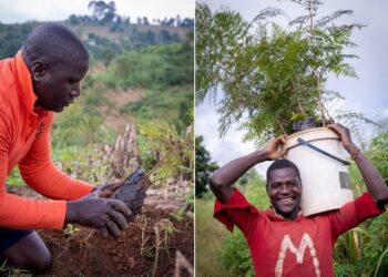 舌尖上的公益旅行 畢嘉士基金會嚴選馬拉威好茶與台灣手工餅乾 中秋送禮還能在非洲種樹