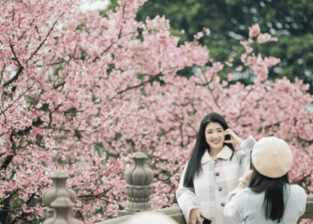 夢幻櫻花季來襲！新北市政府與時尚名師攜手 打造繽紛賞櫻新體驗