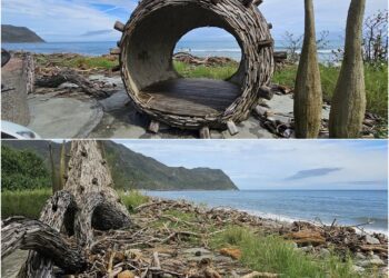 後山小調∕飄流木與裝置藝術「共生」