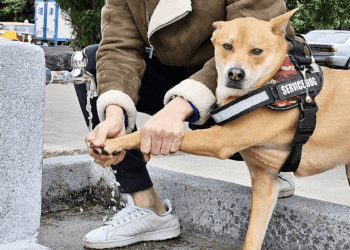 寵物放風新享受 永和綠寶石寵物公園增設自來水龍頭