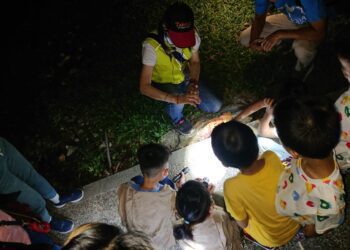 「夜訪小野柳」 四月起富岡地質公園重磅登場