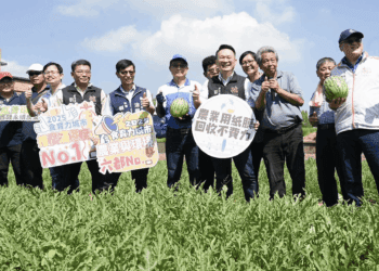 生態農業新典範!桃園環保紙膜擴大應用 蘇俊賓力讚「小燕鷗西瓜」友善環境