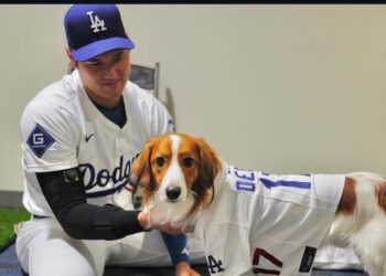 影/《MLB》大谷帶愛犬Decopin超萌開球加持 首打席就炸裂本季第42轟