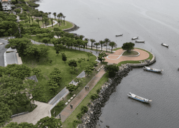 淡水河畔再添新亮點　「米倉無限公園」及「林蔭樹海漫步道」開放了