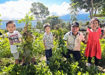 花蓮榮家大手牽小手採花生 老幼共享田園豐收喜悅   