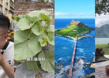 愛地球也能很簡單 TikTok 與創作者打造友善地球全攻略 共慶世界地球日