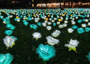 影音/臺東鐵花燈之祭 「繁花盛宴」4/4~6/25登場