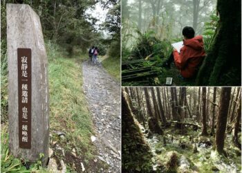 邀您共享大自然的寂靜　「玩聲音，聽世界-森林解憂一日之旅」報名中