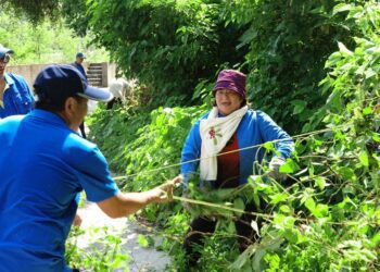 移除小花蔓澤蘭  守護環境荷包滿