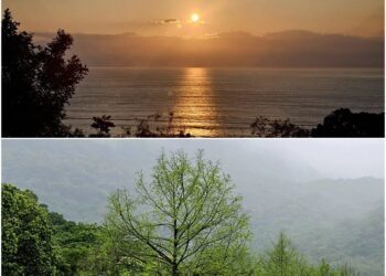 餘波盪漾∕強震過後　春燕何時到來？