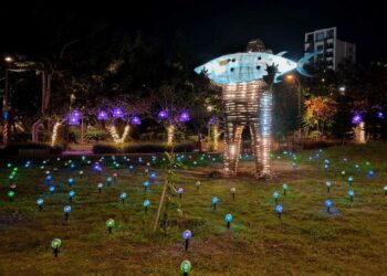 2023澎湖國際燈光藝術節　大葉將外來種銀合歡變身公共藝術