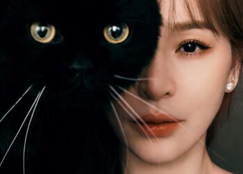 王心凌睽違5年 終於發行第13張專輯BITE BACK 快幫王心凌找巨大黑貓！巨貓現身信義區 喊話「看到請通知我」