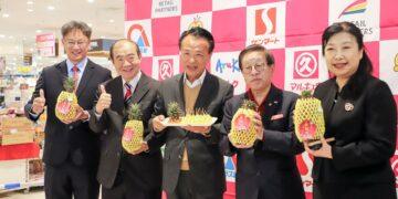 嘉義蜜甘味鳳梨日本開賣　跨界行銷結合文化體育交流