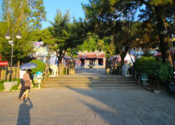 新春旅遊走訪清水巖寺　與神心靈交會欣賞百年茶花