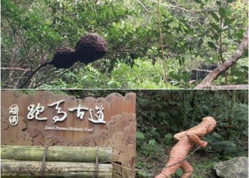 虎頭蜂窩+崩塌　礁溪跑馬古道0-3K封閉
