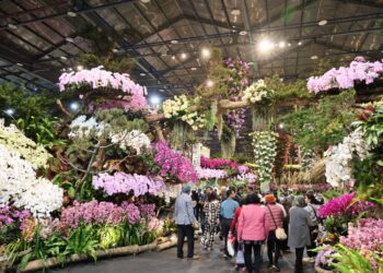 台南擁台灣蘭花核心基地　市長黃偉哲：全球蘭花市場的領導者