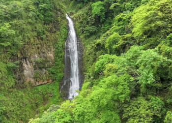 春節遊嘉義到竹崎　享自然風光、品特色美食