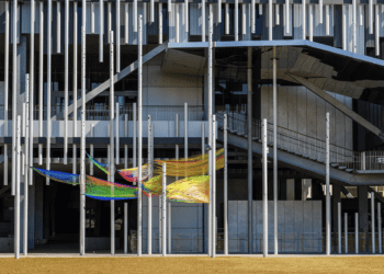 「蛇」進新美館 春節限定活動好玩又好拍 金蛇帶你玩轉藝術