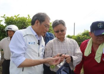 蘇清泉實勘荔枝產業促請救助 農業部啟動災害補助4/9起受理