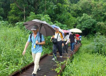 【旅讀農村】探訪苗栗鐵道覓境 臺南林場療癒森呼吸 品味雲林農村情書卷香！