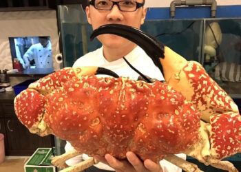 龍少爺港式海鮮接班人呂俊賢  27歲承家業力求新創