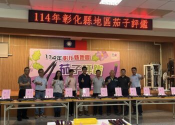 端午節掀茄子風潮 彰化茄子評鑑競賽永靖鄉農會登場