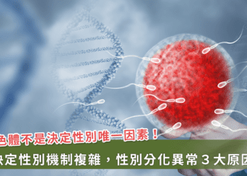 奧運性別爭議／染色體「XY」一定是男性嗎？ 遺傳學專家：沒那麼簡單