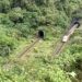 康芮持續進逼 東部幹線、南廻、支線等列車10/31全線停駛