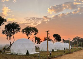 嘉義縣主動輔導　首家合法農牧用地「歸樸露營場」拔頭籌