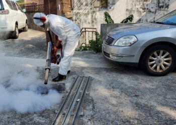 本土登革熱上周增1,745例　5長者病逝