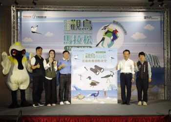 2025臺灣國際觀鳥馬拉松再升級　10月24日開放報名