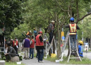 新北市景觀處辦理樹木修剪認證 產官學攜手培育綠領職人提升專業