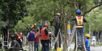 新北市景觀處辦理樹木修剪認證 產官學攜手培育綠領職人提升專業