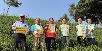 逢白沙屯媽祖繞境起駕日 虎山巖金針花16朵首日花創紀錄