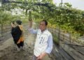 豪雨重創南州苦瓜園　蘇清泉籲從寬認定補償