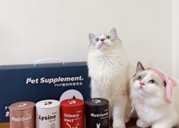 全方位呵護您的毛孩：PHP多國專利寵物保健食品