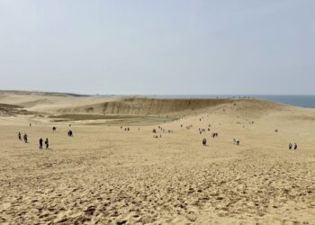 鳳凰旅遊賞楓情 直飛日本鳥取砂丘柯南空港