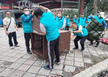 宜蘭分署攜手寒溪部落 辦理臺灣黑熊救傷演練