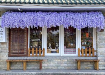嘉義縣瑞里2日慢旅行　遠離暄囂享受山景和美食