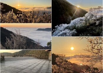 日出+雲海+薄霜+霧淞　太平山之晨美極了