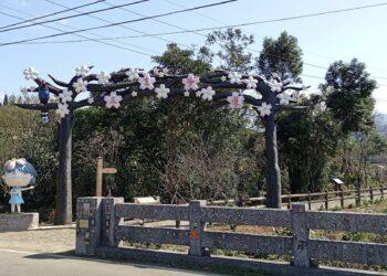 冬遊北海岸「山海通吃」！品味當季肥美蟹、走訪石門百年梯田感受慢活時光