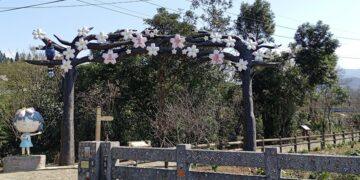 冬遊北海岸「山海通吃」!品味當季肥美蟹、走訪石門百年梯田感受慢活時光