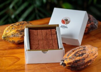 屏東牛角灣巧克力咖啡農園