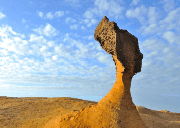 北觀處攜手皇冠海岸觀光圈夥伴打造綠色旅遊天堂，締造綠色未來