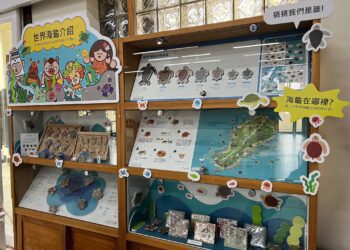 讓遊客更了解海龜　小琉球遊客中心打造「世界海龜介紹」櫥窗
