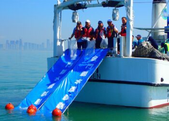 配合世界海洋日 金門縣政府水試所放流魚苗16萬尾