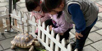 「好客民宿嘉年華」全台巡迴圓滿落幕! 吸引近4,000人次參與,線上抽獎得獎名單公布