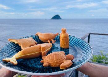 和平島地質公園宣布兒童節12歲以下兒童免費入園 跟著和平島島工推薦超狂親子免票遊程暢玩基隆