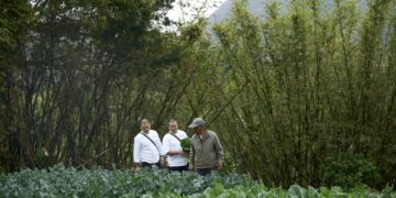 北投老爺攜手陽明春天 推出「草山饌．綠星之宴」 串聯T22計畫 用45種土地風味打造10道永續蔬食料理