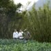 北投老爺攜手陽明春天 推出「草山饌．綠星之宴」 串聯T22計畫 用45種土地風味打造10道永續蔬食料理